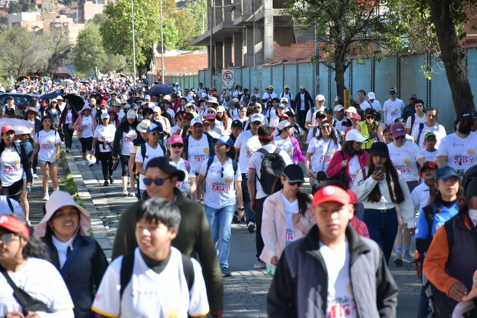 caminando por la vida 3.jpeg